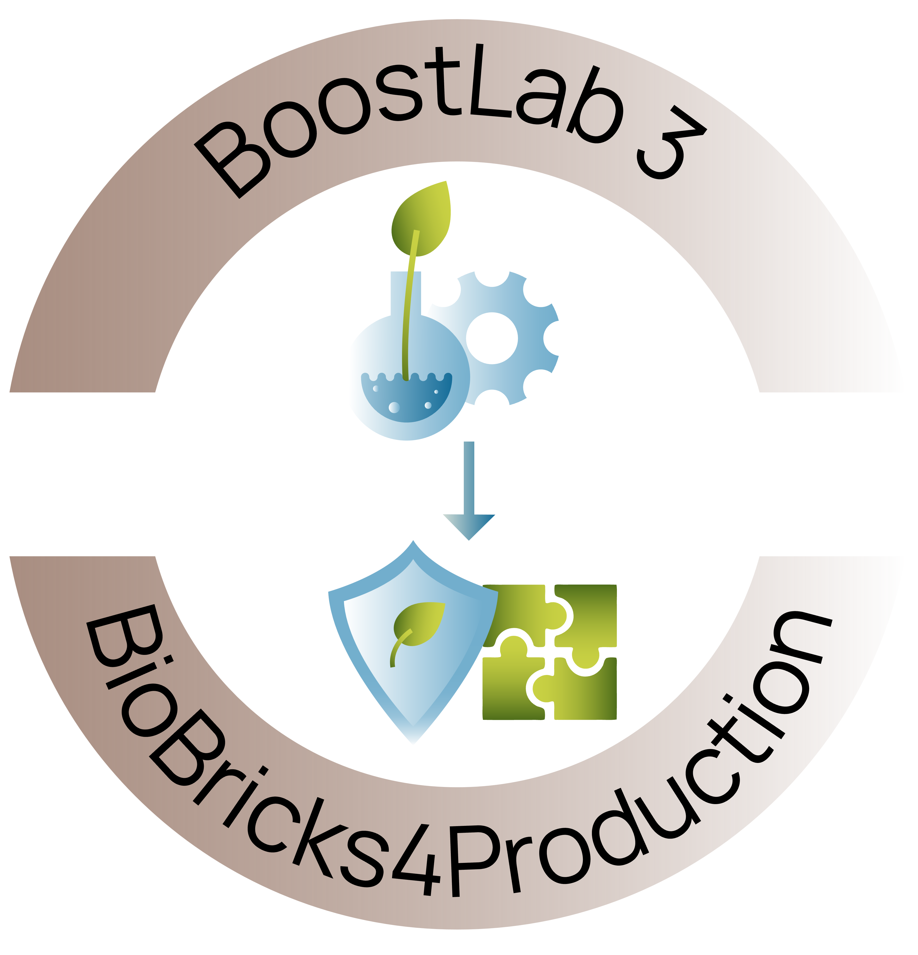 Logo BoostLab 3